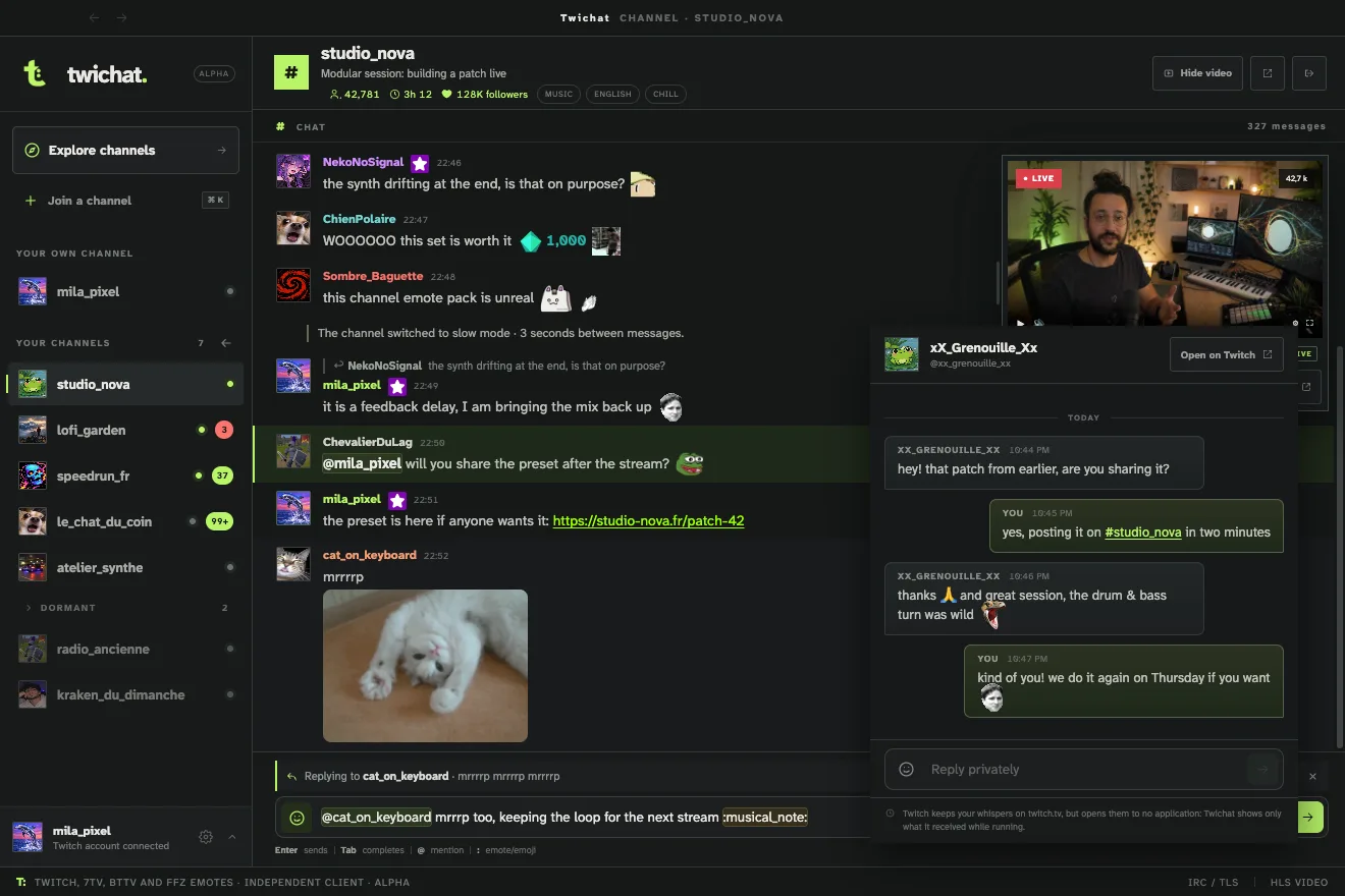 A private conversation in its own window, sitting in front of the main window: the peer's avatar and nickname at the top, messages received on the left and replies on the right, and a field to answer at the bottom.
